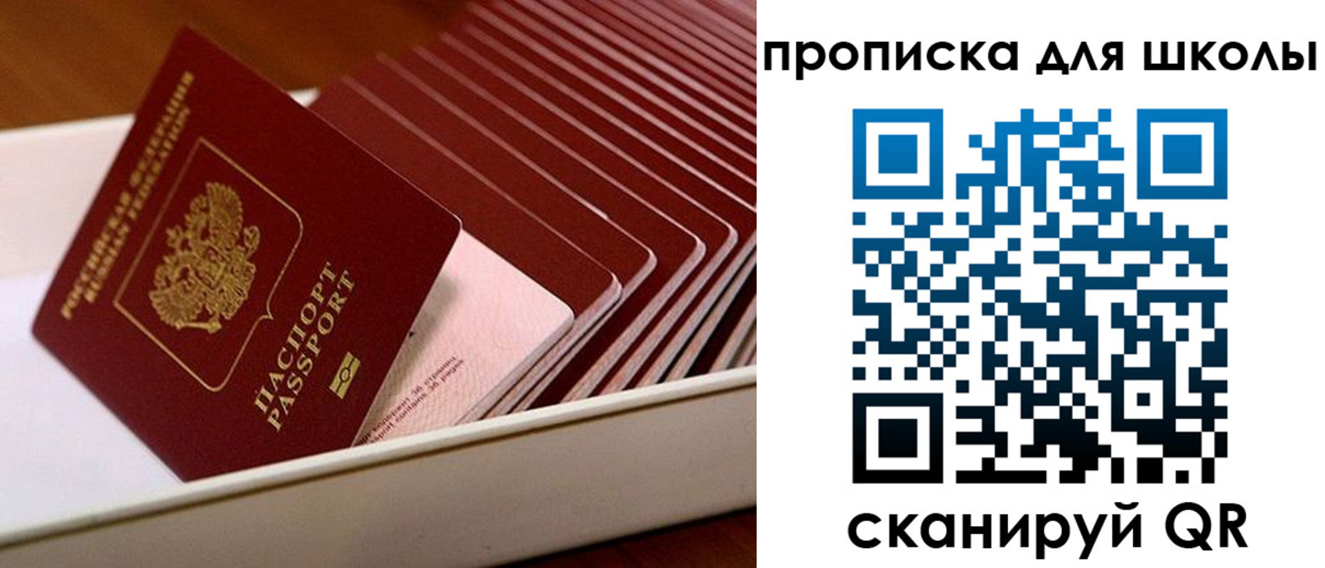 временная регистрация гарантия в Новочебоксарске